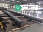 forged bars / forgings