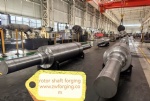 Rotor Shaft